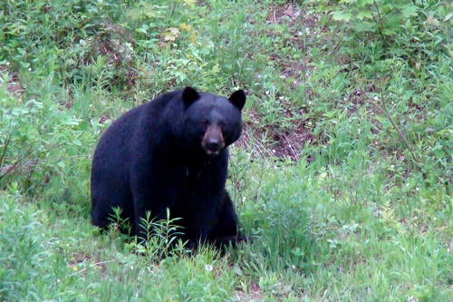 La Mauricie National Park